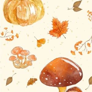 Meet your Posher, Paisley